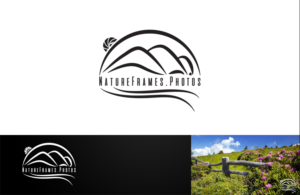 Logo Design by rubio0383 for this project | Design #18577352