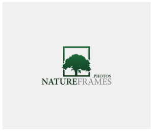 Logo Design by AlphaDezin3 for this project | Design: #18459794