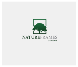 Logo Design by AlphaDezin3 for this project | Design: #18459809