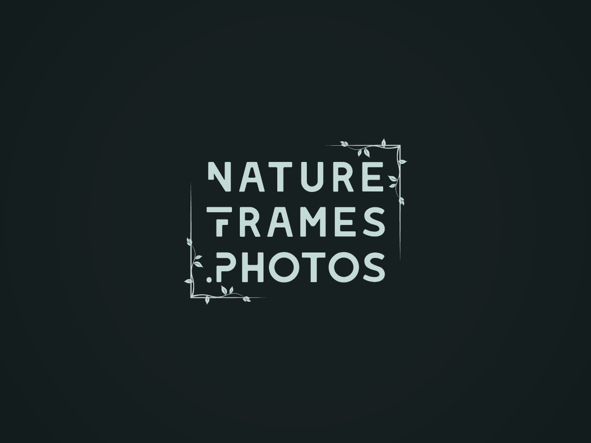 Logo Design by Bima Shankara for this project | Design #18449911