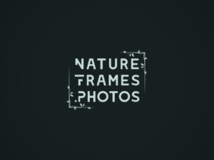 Logo Design by Bima Shankara for this project | Design: #18449911