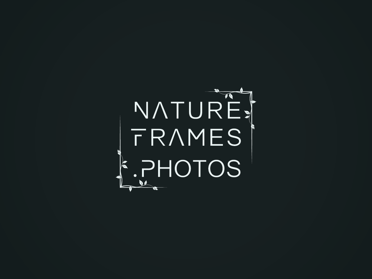 Logo Design by Bima Shankara for this project | Design #18458126