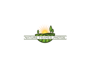Logo Design by Bima Shankara for this project | Design: #18499117
