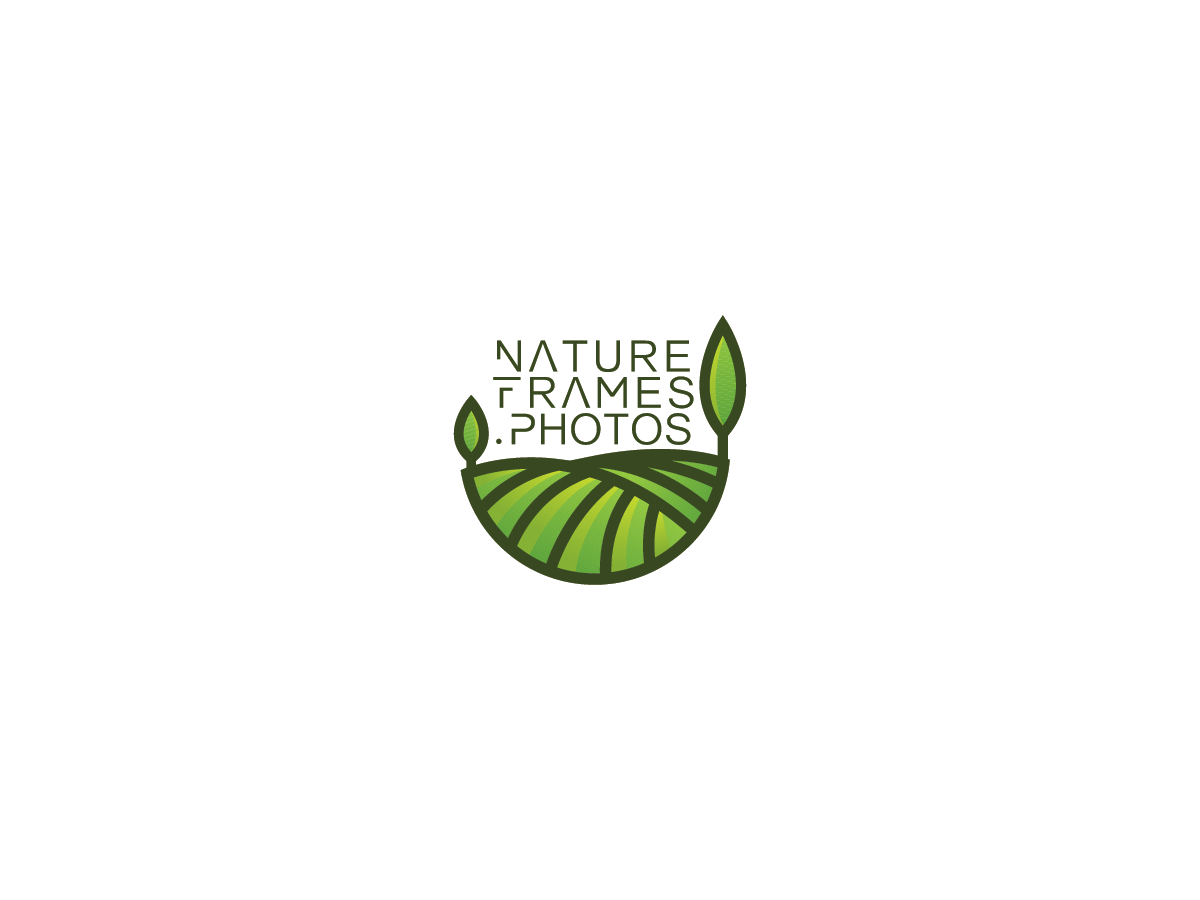 Logo Design by Bima Shankara for this project | Design #18499118