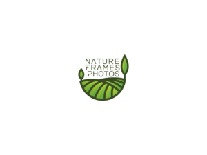 Logo Design by Bima Shankara for this project | Design: #18499118
