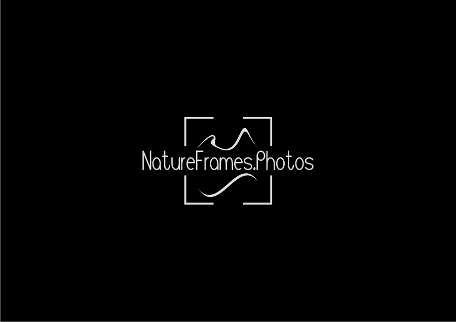 Logo Design by RetnoHandayaniDESIGNS for this project | Design #18453341