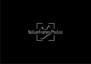 Logo Design by RetnoHandayaniDESIGNS for this project | Design: #18453341