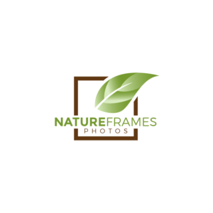 Logo Design by Fauzan Zainal for this project | Design: #18515583