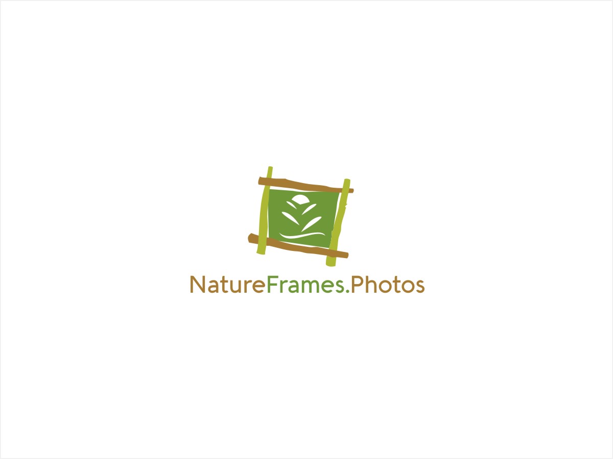 Logo Design by Sushma for this project | Design #18480393