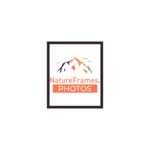 Logo Design by tjangkir for this project | Design: #18485145