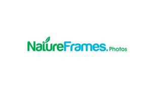 Logo Design by GODDREAMCREATION for this project | Design: #18555721