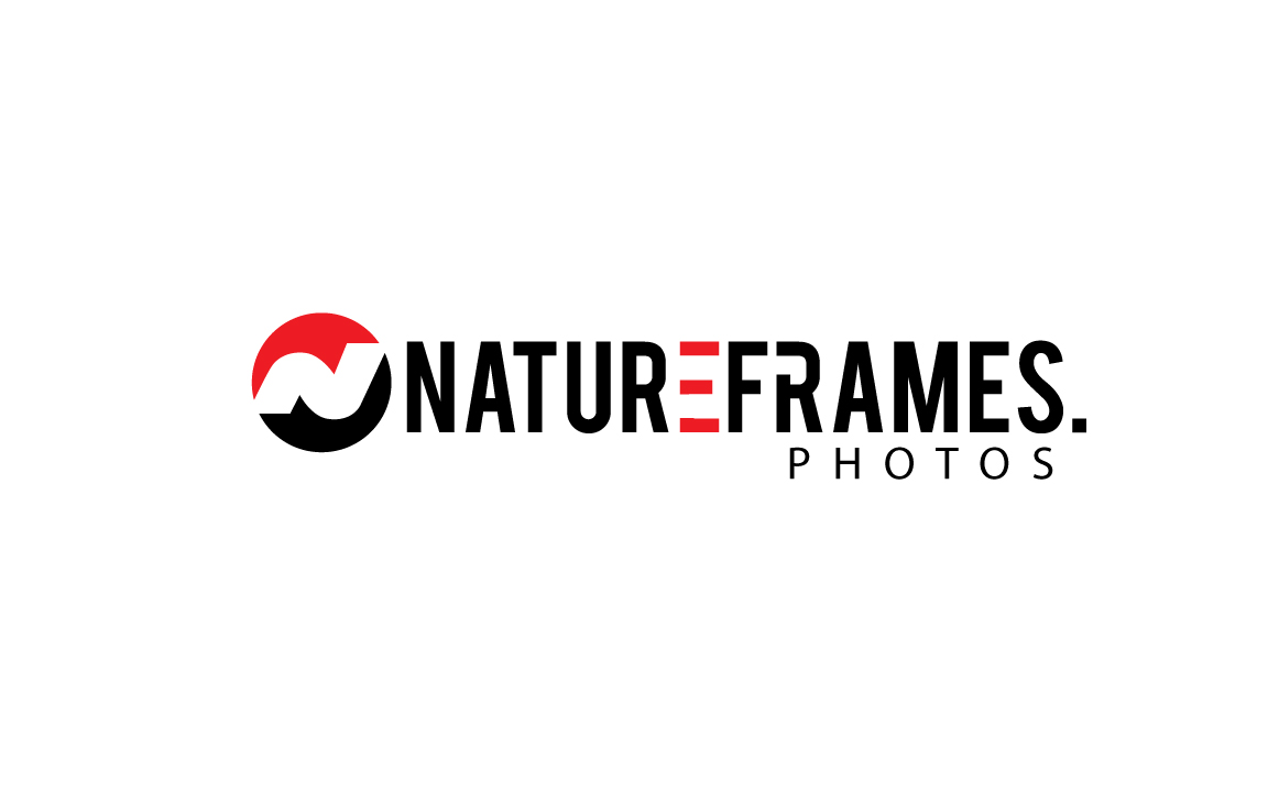 Logo Design by GODDREAMCREATION for this project | Design #18555722