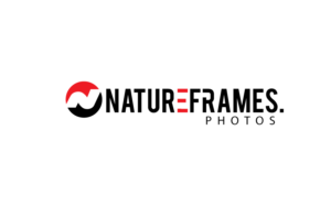 Logo Design by GODDREAMCREATION for this project | Design: #18555722