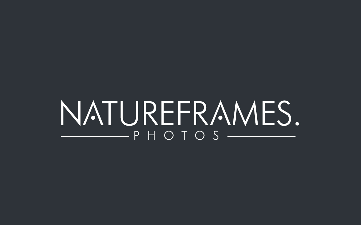 Logo Design by GODDREAMCREATION for this project | Design #18555723
