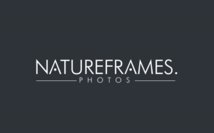 Logo Design by GODDREAMCREATION for this project | Design: #18555723
