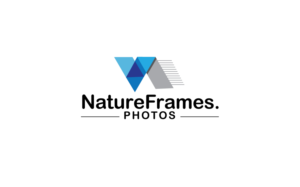 Logo Design by GODDREAMCREATION for this project | Design: #18555724