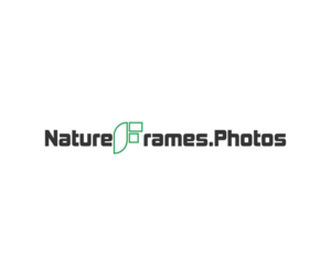 Logo Design by Zak deZign for this project | Design: #18504574