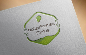Diseño de Logo por Adeelshaikh para este proyecto | Diseño: #18488758