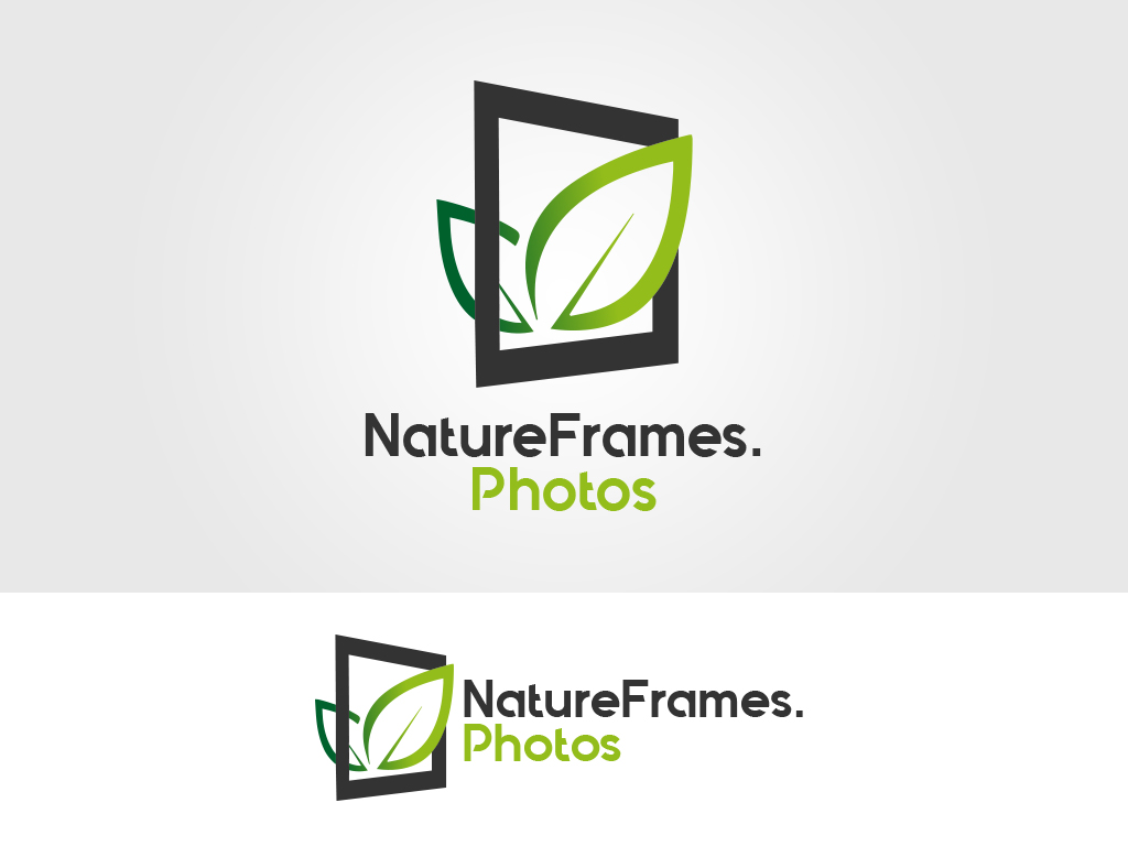 Logo Design by Adeelshaikh for this project | Design #18533531