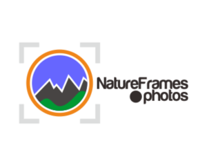 Logo Design by g3thux