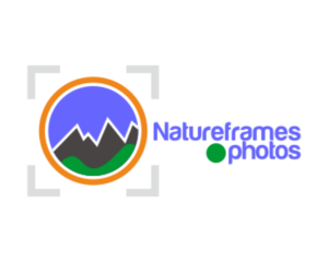 Logo Design by g3thux for this project | Design: #18453755