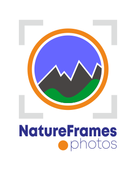 Logo Design by g3thux for this project | Design #18453756