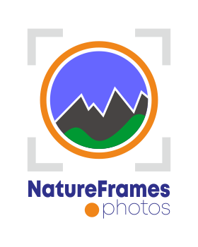 Logo Design by g3thux for this project | Design: #18453756