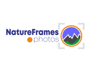 Logo Design by g3thux for this project | Design: #18453757