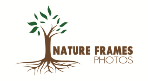 Diseño de Logo por Hafiz Imran para este proyecto | Diseño: #18585786