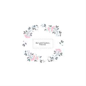 Diseño de Logo por ryan12 para este proyecto | Diseño: #18453800