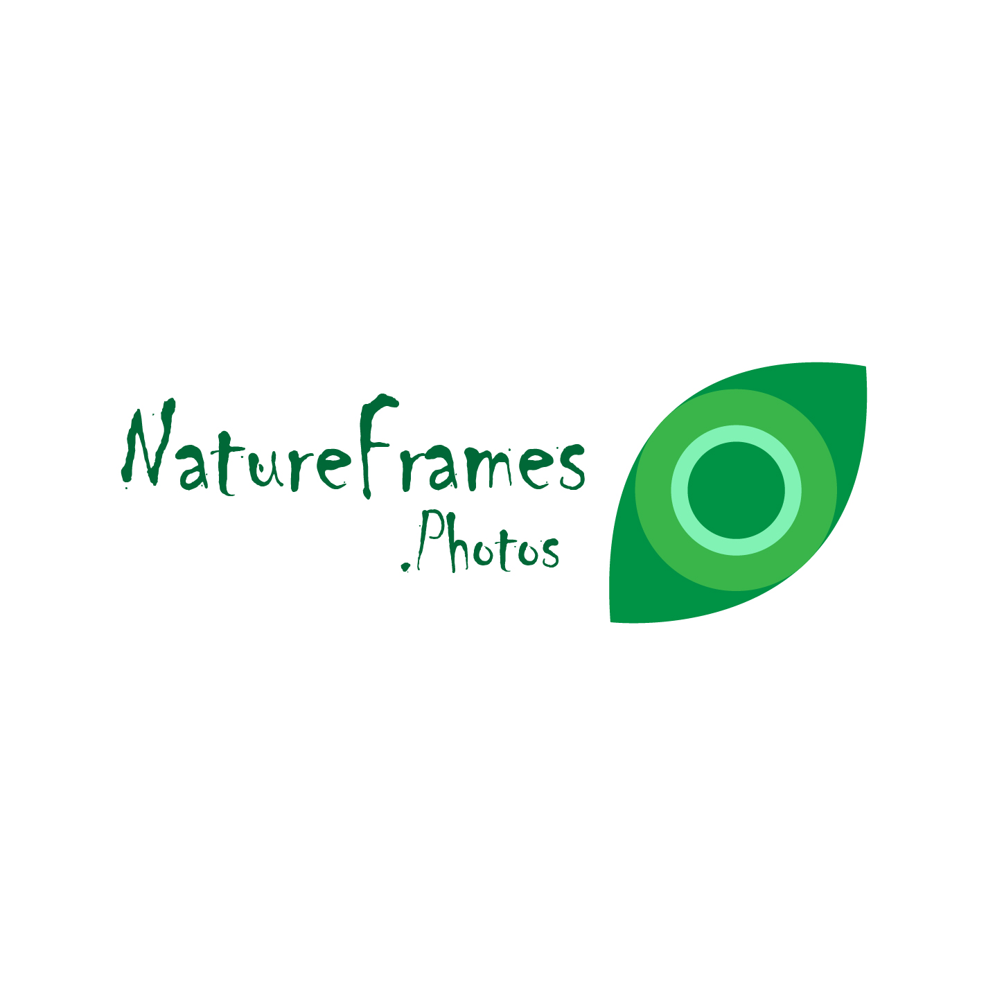 Logo Design by Studio Camel for this project | Design #18582443