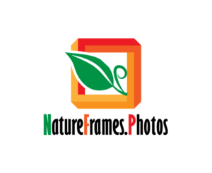 Logo Design by hirawadekaratul for this project | Design: #18461526