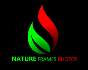 Logo Design by Ace Godwin for this project | Design: #18452341