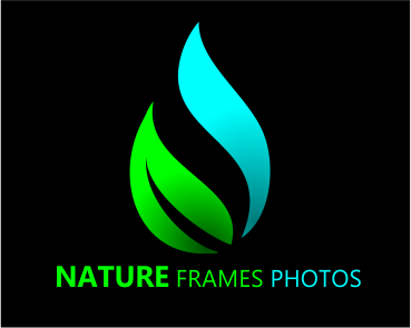Logo Design by Ace Godwin for this project | Design #18456315