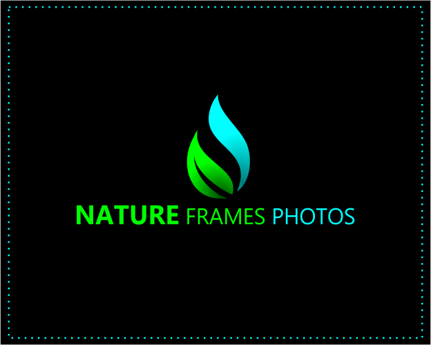 Logo Design by Ace Godwin for this project | Design #18458044