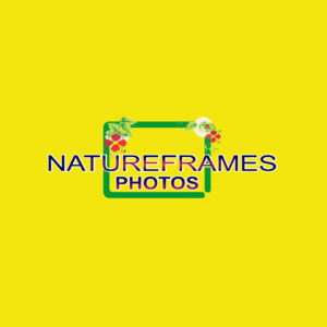 Logo Design by MACAN ART 3 for this project | Design: #18539614