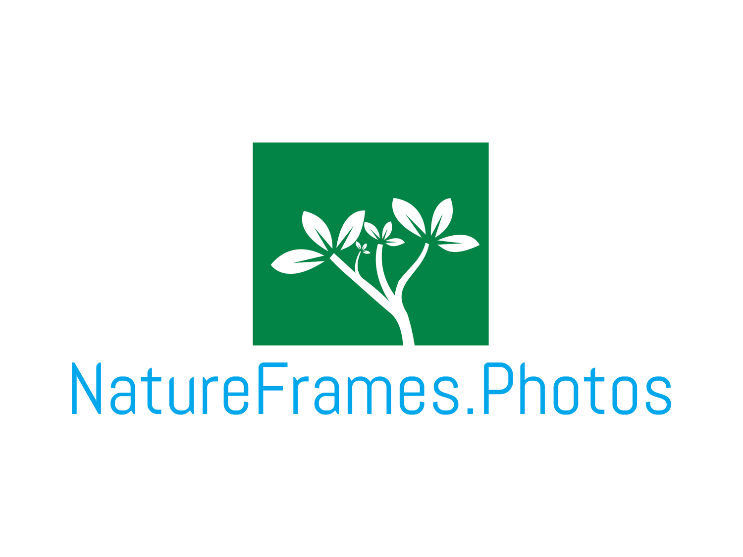 Logo Design by Tryon for this project | Design #18545186