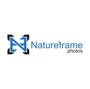 Logo Design by Putrapuput for this project | Design: #18520686
