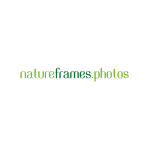 Logo Design by pulogo