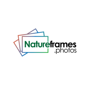 Logo Design by sherman for this project | Design: #18544634
