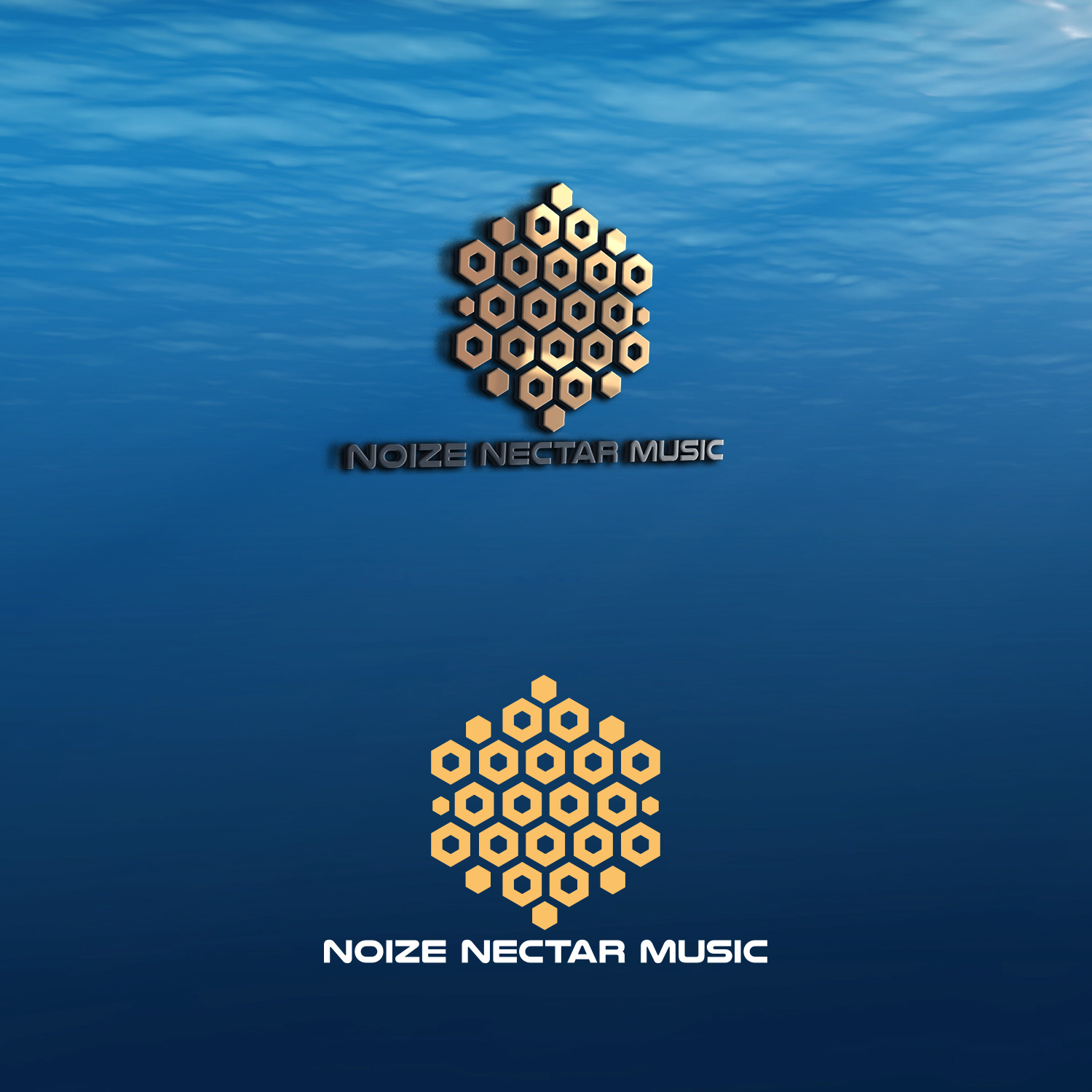 Design de Logo par DesignDUO pour Noize Nectar Music | Design #18565323