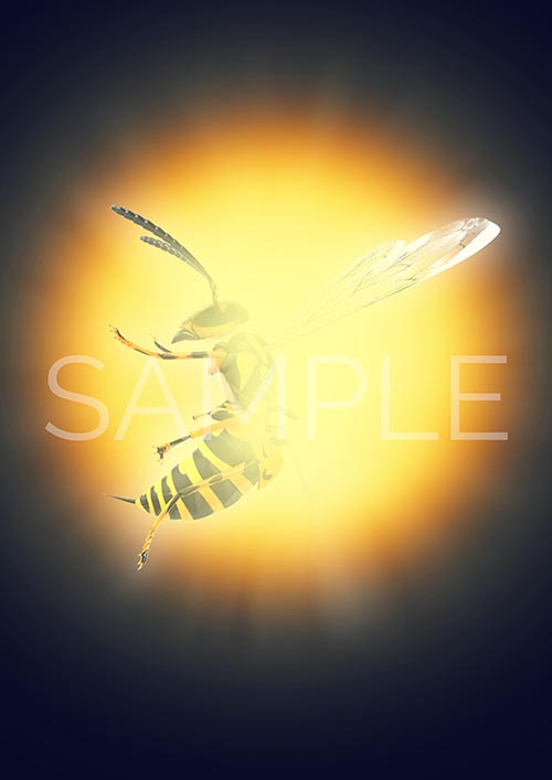 Illustration-Design von Kwasi für dieses Projekt | Design #18464350