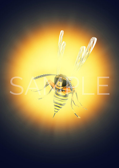 Illustration-Design von Kwasi für dieses Projekt | Design #18509981