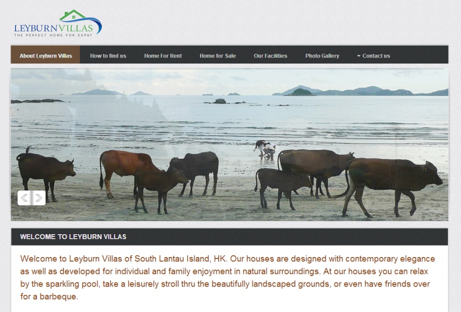 Design de Logo par Brainzone pour ce projet | Design #2875229