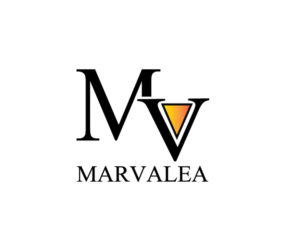 Logo Design by qeemus