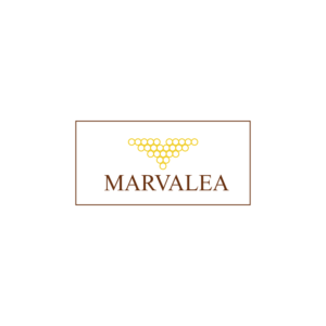 Logo Design by tentakel