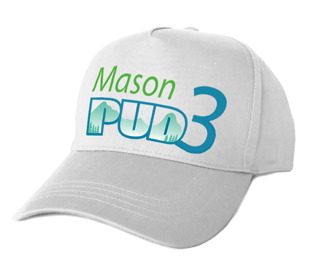 Logo Design by Taiki Design for Mason PUD 3 | Design #18492939