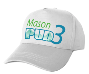 Logo Design by Taiki Design for Mason PUD 3 | Design: #18492939