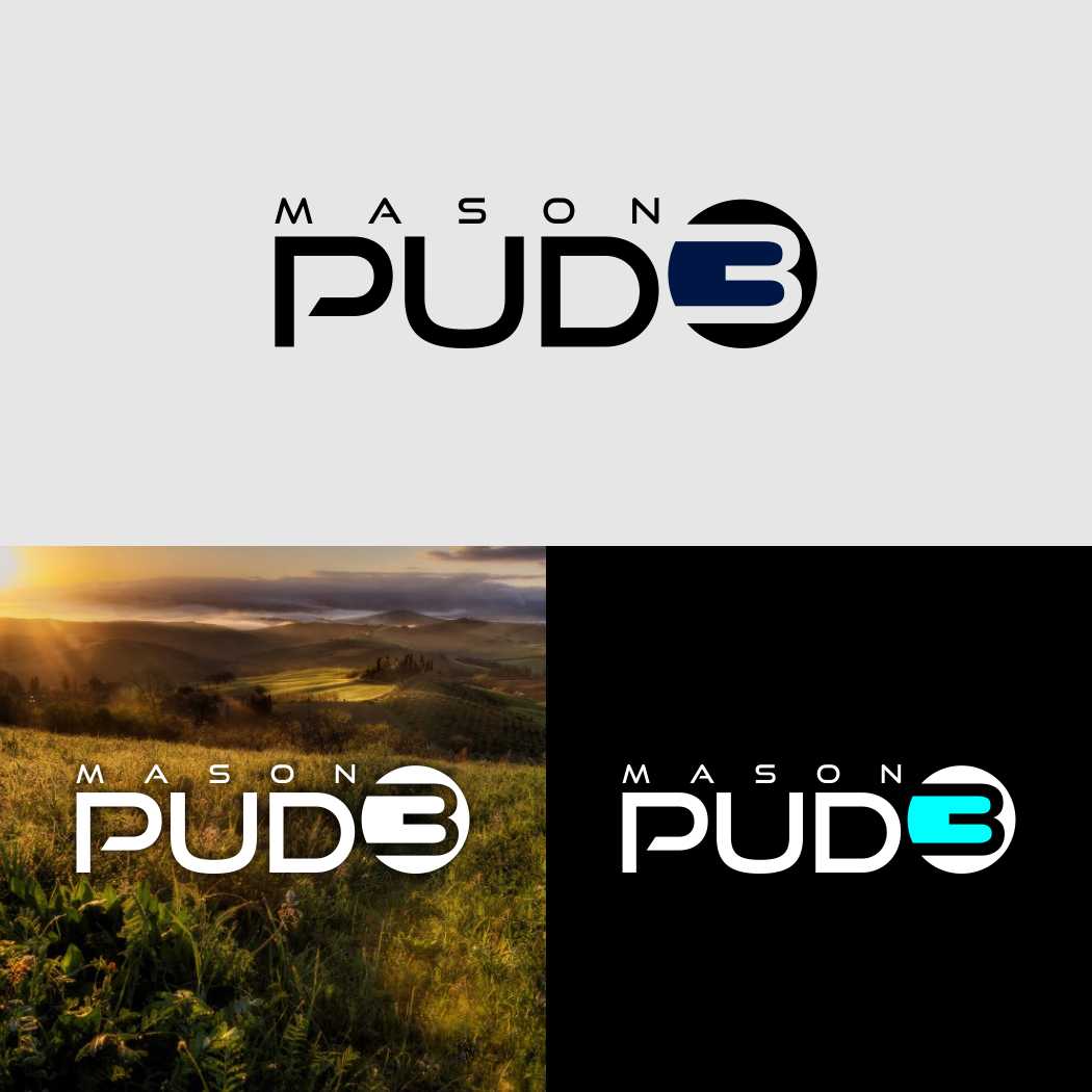 Logo Design by franco.harvey.david.20 for Mason PUD 3 | Design #18508572