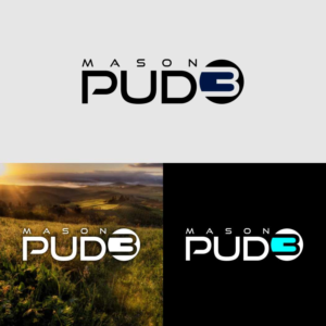 Logo-Design von franco.harvey.david.20 für Mason PUD 3 | Design: #18508572